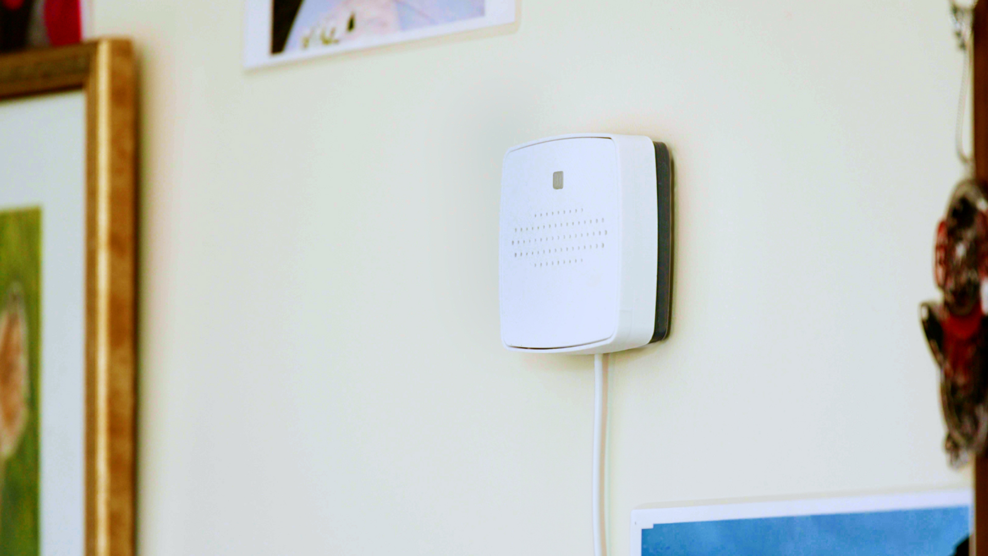 Harnessing technology article image