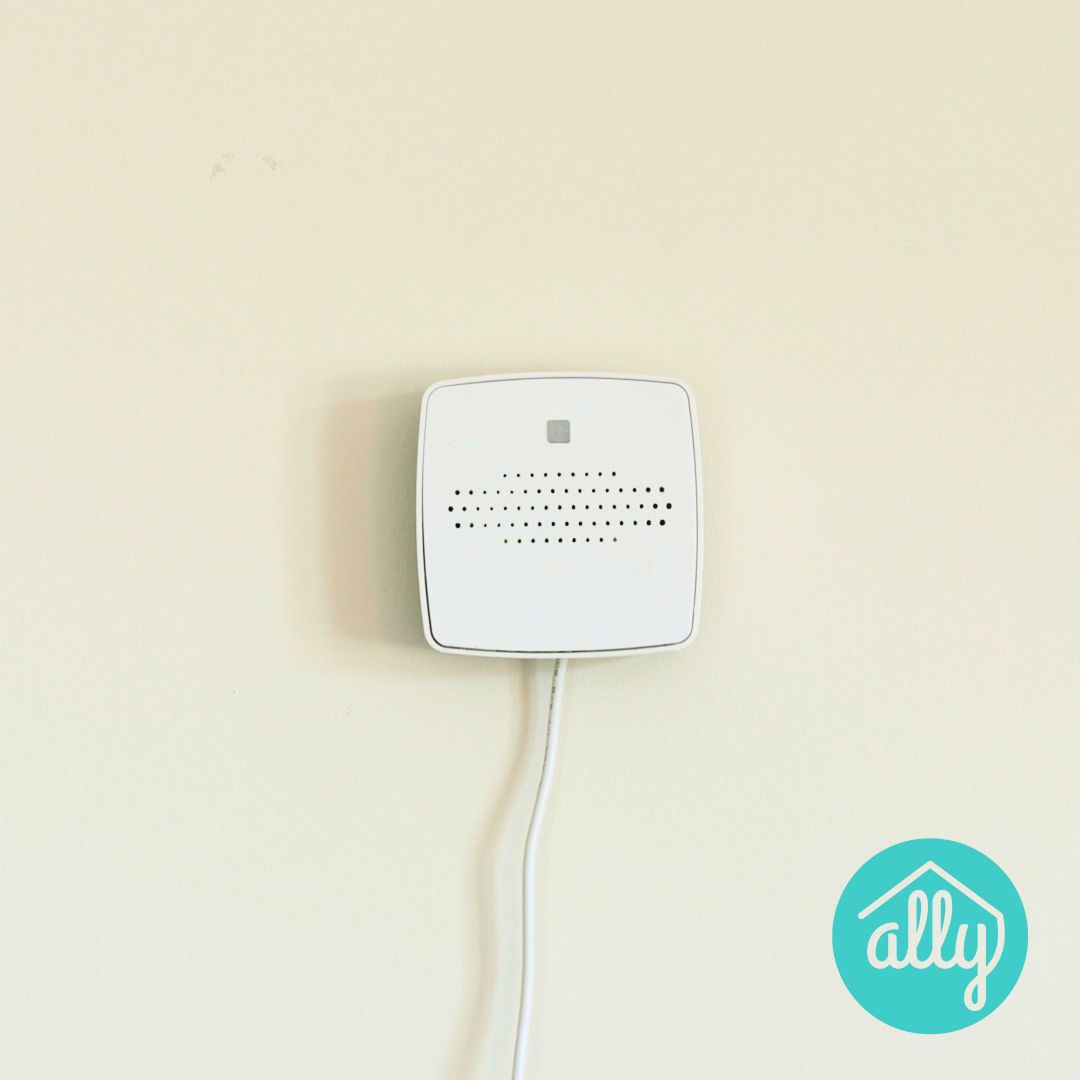 Ally Cares product image 2